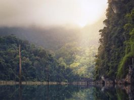 El cambio climático alterará la posición del cinturón de lluvia tropical Humedal en el cuador que se verá afectado por el cambio climático