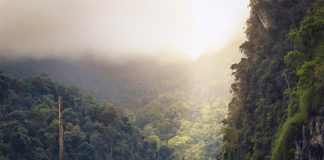 El cambio climático alterará la posición del cinturón de lluvia tropical Humedal en el cuador que se verá afectado por el cambio climático