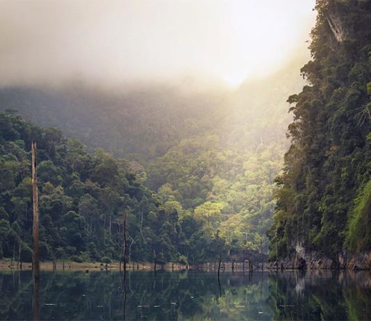 El cambio climático alterará la posición del cinturón de lluvia tropical Humedal en el cuador que se verá afectado por el cambio climático