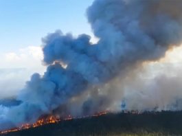 Cambio climático: 2020 empata con 2016 como el año más caluroso registrado Incendio: Cambio climático: 2020 empata con 2016 como el año más caluroso registrado