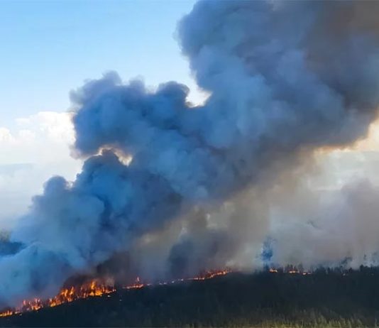 Cambio climático: 2020 empata con 2016 como el año más caluroso registrado Incendio: Cambio climático: 2020 empata con 2016 como el año más caluroso registrado