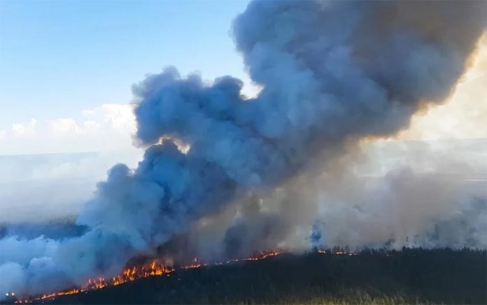 Incendio: Cambio climático: 2020 empata con 2016 como el año más caluroso registrado Incendio: Cambio climático: 2020 empata con 2016 como el año más caluroso registrado