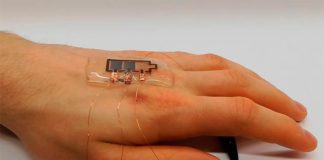 Investigadores desarrollan una pantalla impresa biodegradable y flexible Gracias a su flexibilidad y adherencia, la pantalla impresa biodegradable se puede poner directamente en la piel