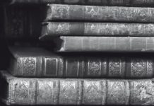 “La torre de Montaigne”, de Estelle Monbrun: suspense ligero y veraniego