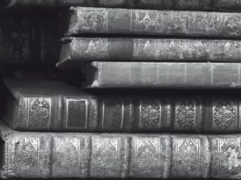 Llega a las librerías La torre de Montaigne, de Estelle Monbrun, publicado por ediciones Siruela