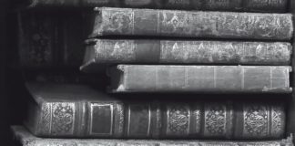 «La torre de Montaigne», de Estelle Monbrun: suspense ligero y veraniego