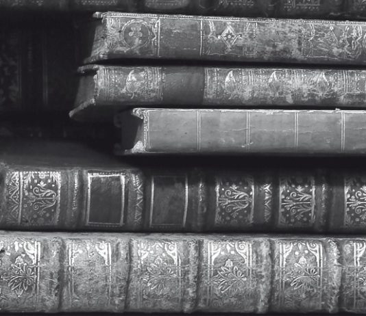 Llega a las librerías La torre de Montaigne, de Estelle Monbrun, publicado por ediciones Siruela