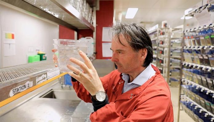 El profesor Peter Currie investiga el desgaste muscular en la instalación de pez cebra de la Universidad de Monash El profesor Peter Currie investiga el desgaste muscular en la instalación de pez cebra de la Universidad de Monash