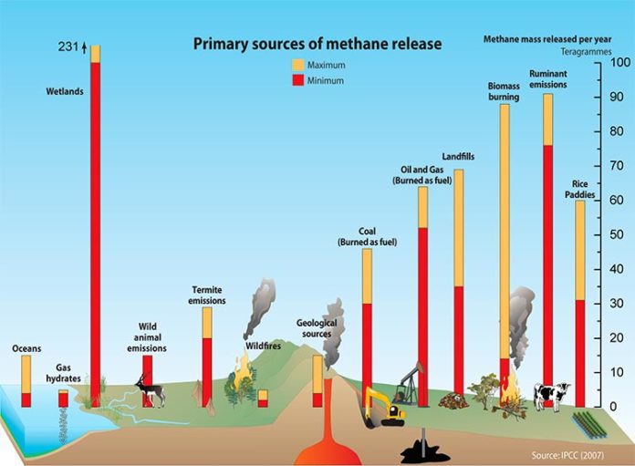 Principales fuentes del metano en la Tierra