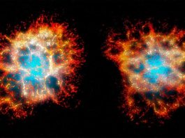 Espectacular «corazón de panal» revelado en la Nebulosa del Cangrejo Reconstrucción en 3D del remanente de la nebulosa del Cangrejo visto desde la Tierra (derecha), y desde otro punto de vista mostrando su morfología en forma de corazón (izquierda).