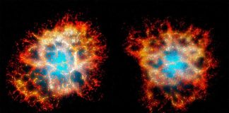 Espectacular «corazón de panal» revelado en la Nebulosa del Cangrejo Reconstrucción en 3D del remanente de la nebulosa del Cangrejo visto desde la Tierra (derecha), y desde otro punto de vista mostrando su morfología en forma de corazón (izquierda).