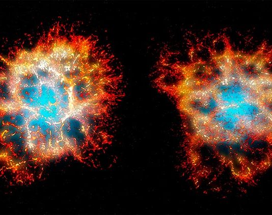 Espectacular «corazón de panal» revelado en la Nebulosa del Cangrejo Reconstrucción en 3D del remanente de la nebulosa del Cangrejo visto desde la Tierra (derecha), y desde otro punto de vista mostrando su morfología en forma de corazón (izquierda).