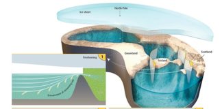 El Océano Ártico estuvo cubierto por una plataforma de hielo y lleno de agua dulce El Océano Ártico estuvo cubierto por una plataforma de hielo y lleno de agua dulce