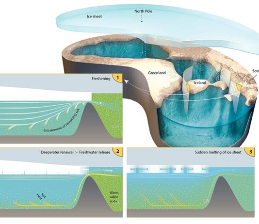 El Océano Ártico estuvo cubierto por una plataforma de hielo y lleno de agua dulce El Océano Ártico estuvo cubierto por una plataforma de hielo y lleno de agua dulce