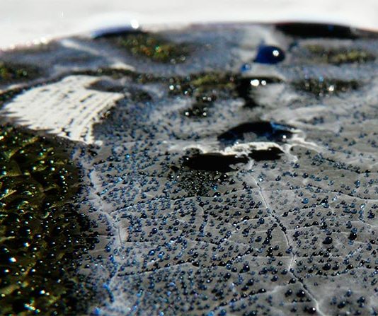Hormona de las bacterias del suelo podría conducir a nuevos antibióticos Una de las bacterias del suelo estudiadas, Streptomyces coelicolor, produce antibióticos en una placa de Petri