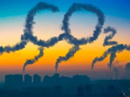 Captura de CO2: Los suelos y las plantas serían mutuamente excluyentes Emisiones y captura de CO2
