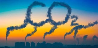 Captura de CO2: Los suelos y las plantas serían mutuamente excluyentes Emisiones y captura de CO2