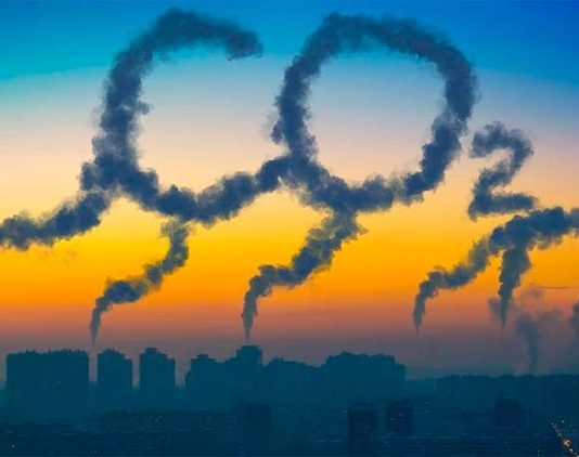 Captura de CO2: Los suelos y las plantas serían mutuamente excluyentes Emisiones y captura de CO2