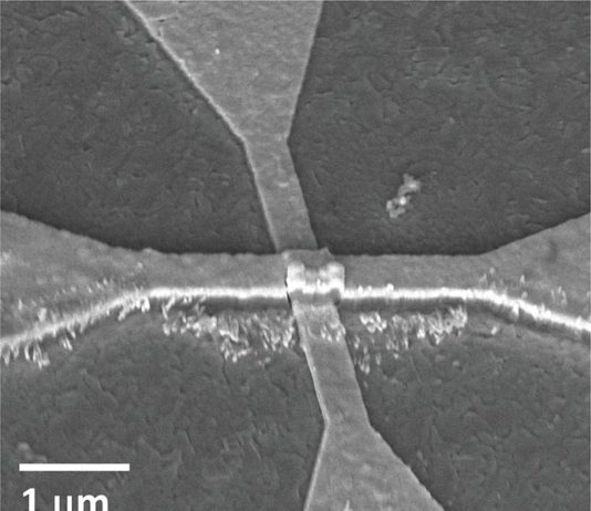 Dispositivo neuronal artificial reduce el uso de energía y el tamaño del hardware de una red neuronal Imagen de microscopio electrónico de barrido del dispositivo neuronal artificial