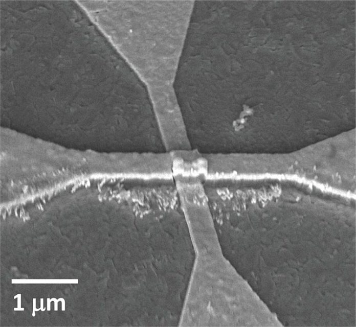 Imagen de microscopio electrónico de barrido del dispositivo neuronal artificial