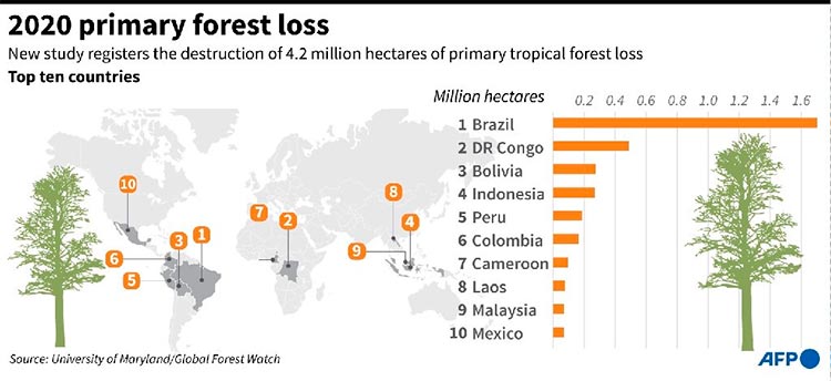 Gráfico sobre los diez países con mayor pérdida de bosques primarios en 2020, según datos de la Universidad de Maryland