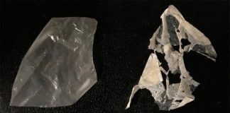 Nuevo proceso convierte plásticos «biodegradables» en realmente compostables El plástico modificado (izquierda) se descompone después de sólo tres días en compost estándar (derecha) y por completo después de dos semanas