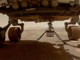 La NASA retrasa vuelo del helicóptero Ingenuity en Marte para revisión técnica Ingenuity