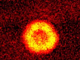 Científicos enlazan moléculas en un solo estado cuántico Imagen de las moléculas reunidas con éxito en un condensado de Bose-Einstein, en un mismo estado cuántico