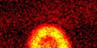 Científicos enlazan moléculas en un solo estado cuántico Imagen de las moléculas reunidas con éxito en un condensado de Bose-Einstein, en un mismo estado cuántico