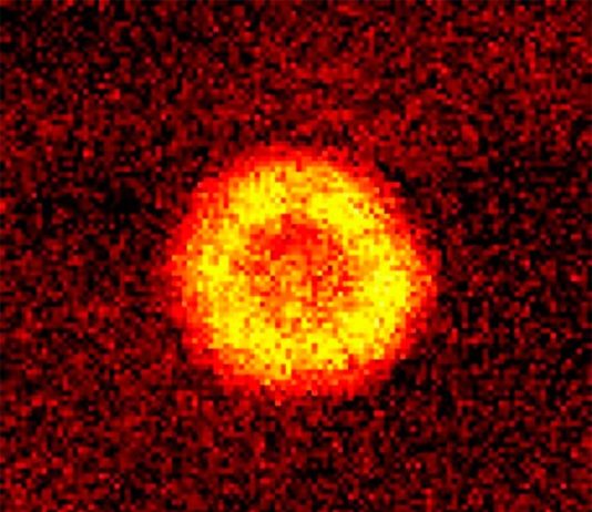 Científicos enlazan moléculas en un solo estado cuántico Imagen de las moléculas reunidas con éxito en un condensado de Bose-Einstein, en un mismo estado cuántico