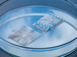 Mallas de bio-nanocelulosa mejoran la cirugía de reparación de hernias Muestras de mallas de nanocelulosa bacteriana para tratar la hernia abdominal