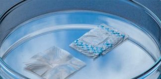 Mallas de bio-nanocelulosa mejoran la cirugía de reparación de hernias Muestras de mallas de nanocelulosa bacteriana para tratar la hernia abdominal