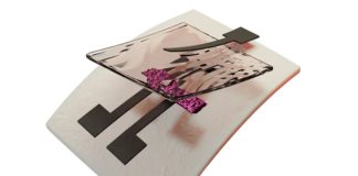 Primera electrónica impresa reciclable por completo del mundo Representación 3D de la primera electrónica impresa totalmente reciclable del mundo: el primer transistor impreso totalmente reciclable. Crédito: Universidad de Duke.