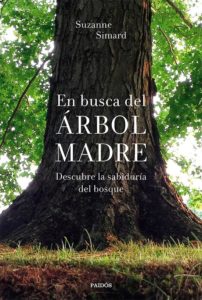 Portada de En busca del Árbol Madre