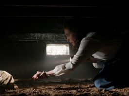 «Expediente Warren: Obligado por el demonio» – Conjuro a medias Expediente Warren: Obligado por el demonio