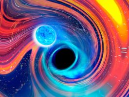 Detectan las primeras fusiones de estrellas de neutrones y agujeros negros Una imagen artística inspirada en un evento de fusión de estrella de neutrones y agujero negro