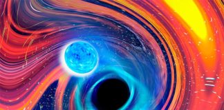 Detectan las primeras fusiones de estrellas de neutrones y agujeros negros Una imagen artística inspirada en un evento de fusión de estrella de neutrones y agujero negro