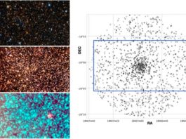 Detectado un nuevo cúmulo globular cercano que se mueve de forma extrema: VVV-CL160 Gráficos para el cúmulo globular VVV-CL160 en diferentes longitudes de onda