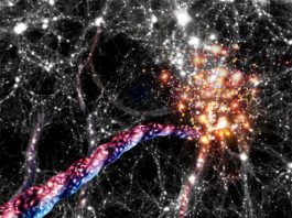 Las estructuras más grandes del universo (filamentos cósmicos) muestran una clara señal de rotación Impresión artística de los filamentos cósmicos: enormes puentes de galaxias y materia oscura conectan cúmulos de galaxias entre sí. Las galaxias se canalizan en órbitas en forma de sacacorchos hacia y en grandes cúmulos que se encuentran en sus extremos