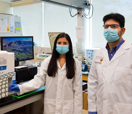 Tumores: Diseñan células para destruir las cancerosas sin dañar las sanas Tumores: Diseñan células para destruir células cancerosas sin dañar las sanas