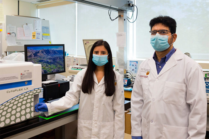 Tumores: Diseñan células para destruir células cancerosas sin dañar las sanas Tumores: Diseñan células para destruir células cancerosas sin dañar las sanas