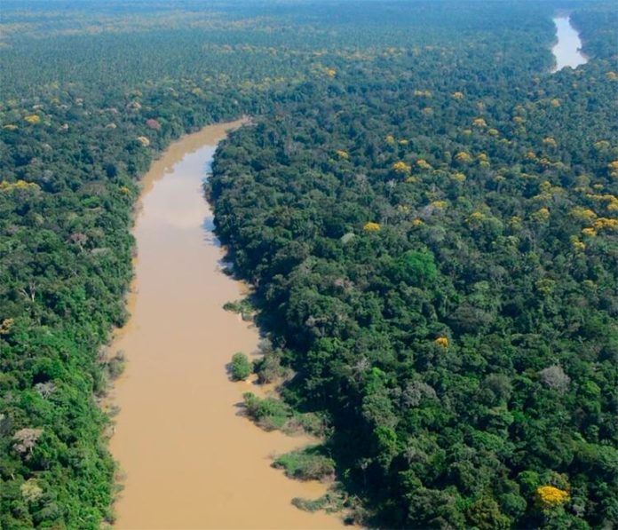 Vista aérea de la región de Putumayo de la selva amazónica en Perú Vista aérea de la región de Putumayo de la selva amazónica en Perú