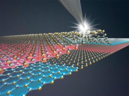 La tecnología más delgada del mundo: dos átomos de espesor La tecnología más delgada del mundo: dos átomos de espesor