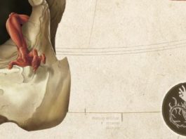 «Duramadre» de Víctor Sellés – Mente y realidad