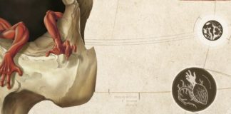 «Duramadre» de Víctor Sellés – Mente y realidad