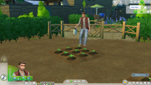 LS4 Vida en el pueblo