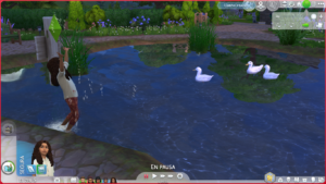 LS4 Vida en el pueblo