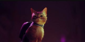 Annapurna Interactive presenta un nuevo avance y detalles de Stray Stray