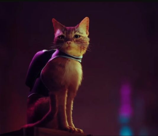 Annapurna Interactive presenta un nuevo avance y detalles de Stray Stray