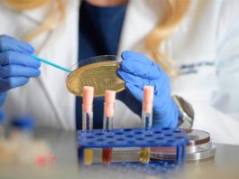 Identifican varias bacterias clave en la vaginosis bacteriana Un nuevo estudio examinó cómo las bacterias específicas alteran el microambiente vaginal y, en última instancia, influyen en el equilibrio entre la salud y la enfermedad, en especial con la vaginosis bacteriana